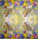105 Rabbits:  natürlich - 3-ply
